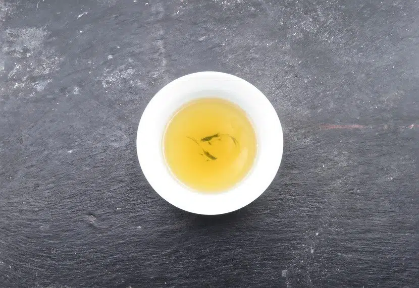 2022_Bancha_Hojicha-3-1.webp
